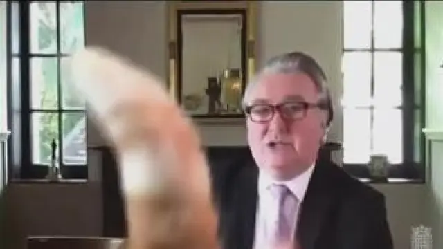 Los invitados inesperados en las videollamadas siguen captando toda la atención de quien está al otro lado. Esta vez ha sido Roco, el gato del diputado del Partido Nacionalista Escocés, John Nicolson.