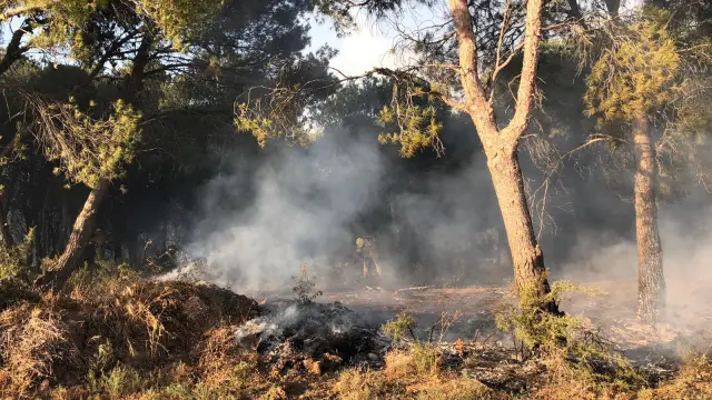 El incendio de Sádaba calcinó 43,9 hectáreas el pasado 15 de julio