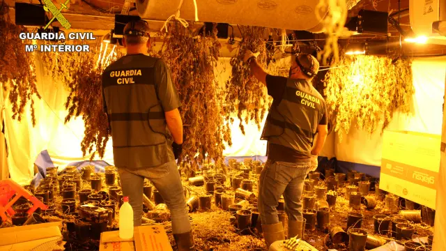 Cultivo de marihuana en el interior de una vivienda descubierto en la comarca del Matarraña..