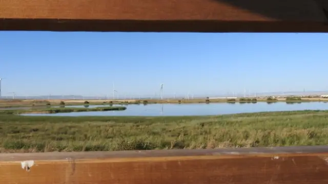 La laguna de Agón, vista desde el nuevo observatorio de aves.