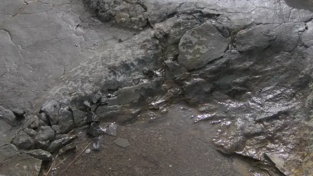 Icnita de la mano de un dinosaurio saurópodo en el yacimiento El Pozo de El Castellar (Teruel).