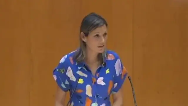 La senadora de Teruel Existe, Beatriz Martín