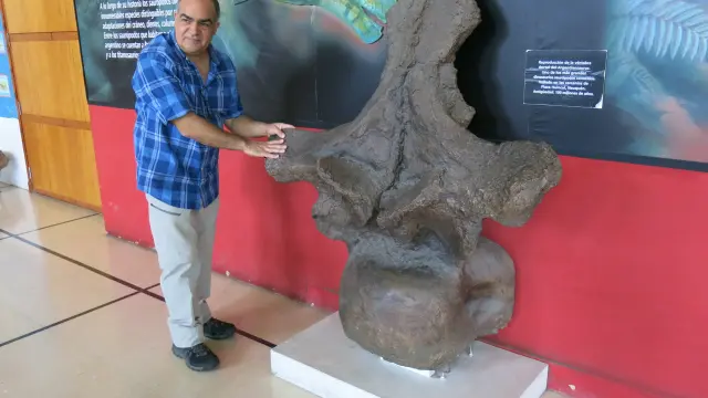 Reconstrucción de una vértebra de Argentinosaurus