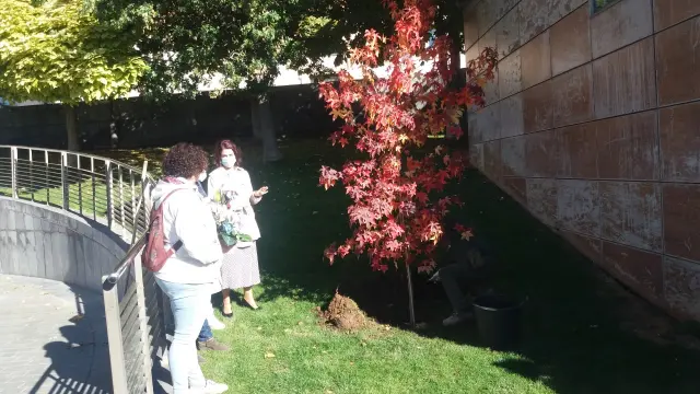 Plantación de un árbol en La Glorieta para concienciar sobre la muerte gestacional o neonatal.