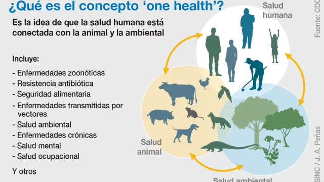 La salud global ('One Health') vela por la salud humana, animal y ambiental al mismo tiempo.