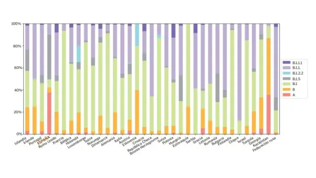 Los linajes del SARS-CoV-2 en Europa. En España (cuarta columna) casi el 40% de las secuencias pertenecen a linajes A