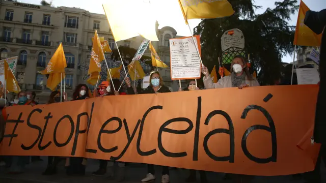 Colectivos de la enseñanza concertada protestan contra la ley Celaá ante el Congreso de los Diputados.