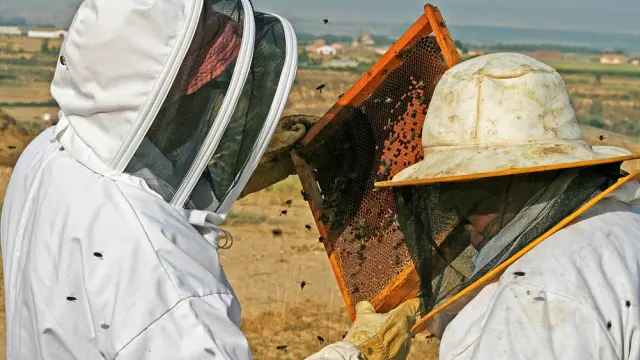 Dos apicultores de la comarca de Monegros.