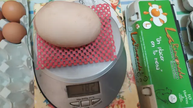 Una imagen del huevo de gallinas camperas que ha batido récords por su tamaño.
