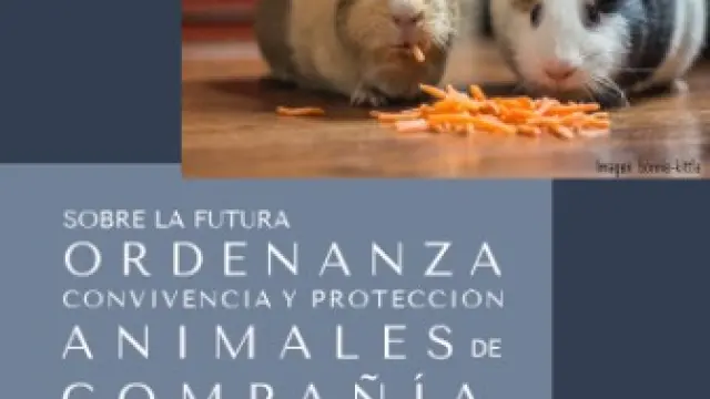 Participación ciudadana para redactar la ordenanza de animales domésticos en La Almunia de Doña Godina