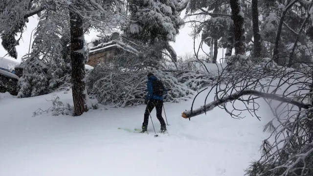 Esquiando en Madrid en la nevada de la borrasca Filomena