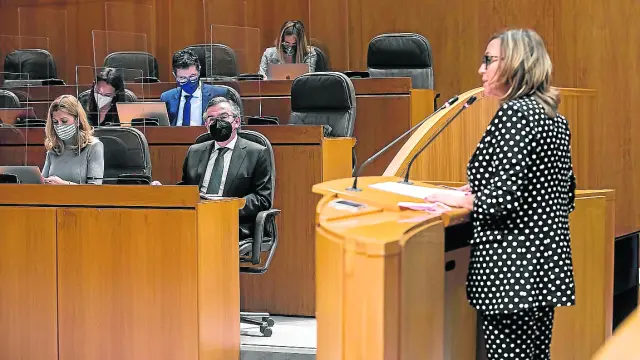 La consejera de Presidencia, Mayte Pérez, defendió ayer la ley ante el pleno de las Cortes