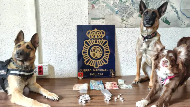 Los perros de la Policía Nacional hallaron la droga en el vehículo