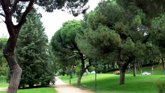 Parque del Oeste de Madrid.