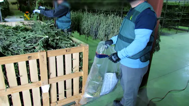 Interviene 4 toneladas de marihuana en la pequeña población Villel que luego eran distribuidas por toda Europa