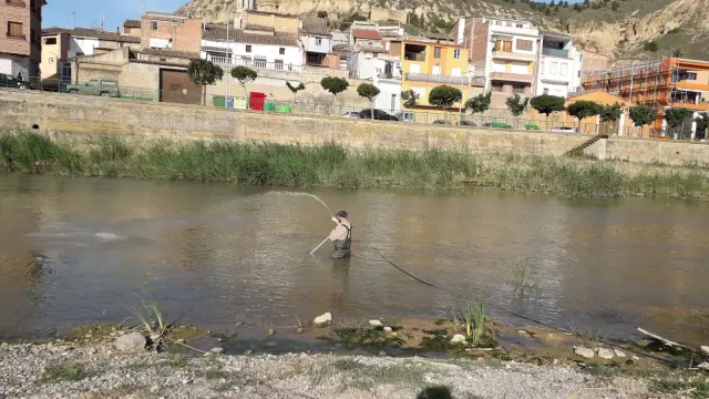 El producto, que se resulta inocuo para otras especiales, se aplica sobre las aguas de los ríos Cinca y Alcanadre. Comarca del Bajo Cinca.
