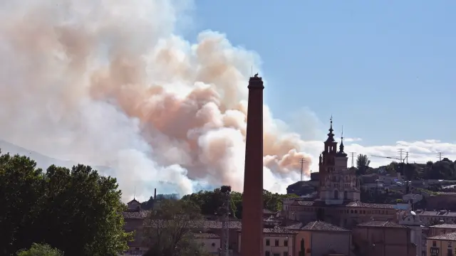 Columna visible desde las inmediaciones del incendio en las afueras de Tarazona.
