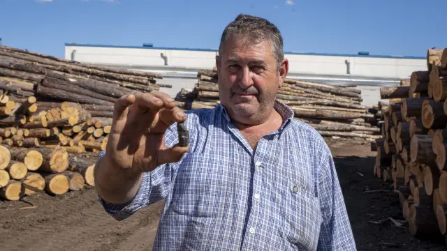 Mateo Bielsa muestra un trozo de metralla hallado en los troncos que llegan a su serrería de Teruel.