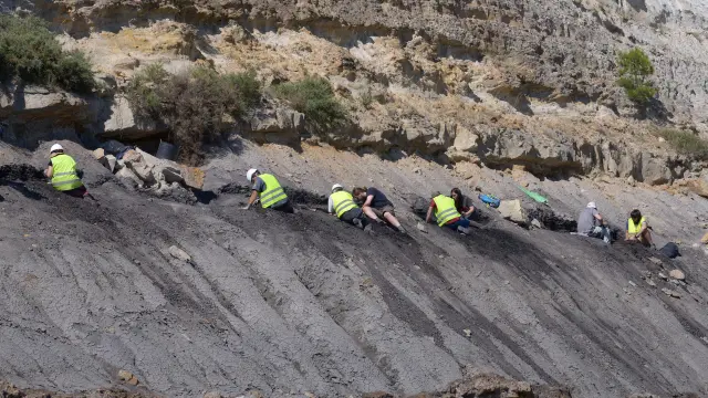 Los paleontólogos excavando una ladera de San Just en busca de fósiles de ámbar