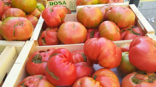 Hermosos ejemplares de tomate rosa en la plaza del Mercado de Barbastro.