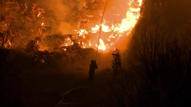 Wild Fire in Kamatriades, Evia Island in Greece