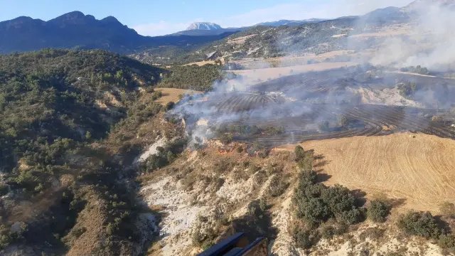 El incendio afecta a una zona agrícola y arbolada.
