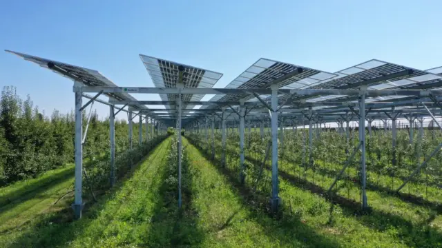 Sistemas agrovoltaicos que combinan cultivos y placas solares.