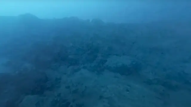Imagen submarina del volcán de La Palma.