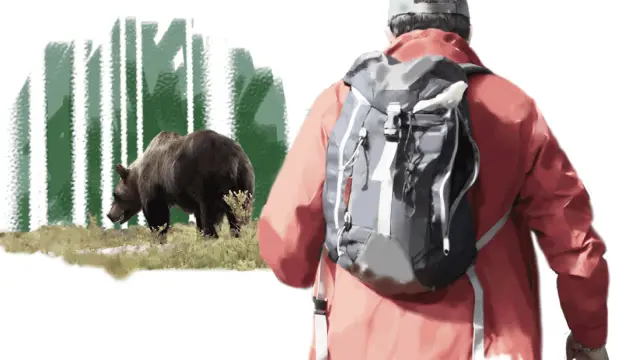 Los osos evitan el contacto con los humanos.