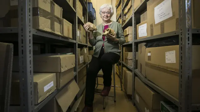 Pilar Utrilla, en el almacén donde se guardan temporalmente los "tesoros" de Prehistoria, en el colegio Cervantes de Zaragoza.