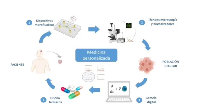 La combinación de técnicas avanzadas de cultivo celular, biomarcadores y simulación computacional será fundamental para la medicina personalizada del futuro.