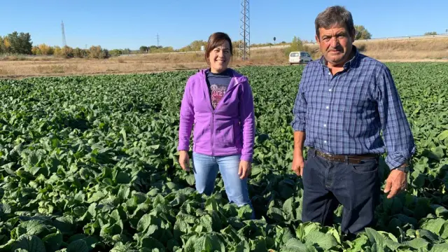 Ana Olmos y su padre, Fernando Olmos, en los cultivos que tiene la zaragozana en Montañana.