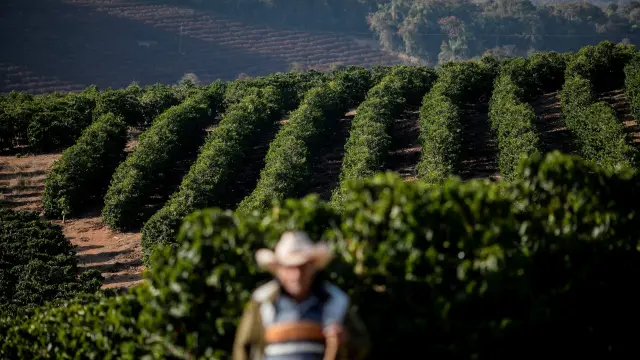 Esta zona productora de café de Brasil resultó afectada por heladas en 2021.