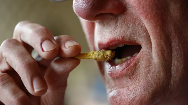 Foto de archivo de un hombre comiendo un insecto