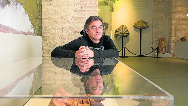 Canudo y su reflejo en el Museo de Ciencias Naturales de la Universidad de Zaragoza.