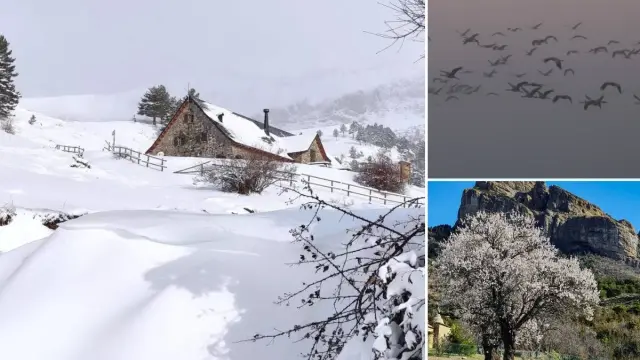 De la nieve a los almendros en flor las fotos más bonitas que nos deja la semana en Aragón