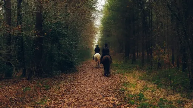 Ruta a caballo por el bosque del Betato