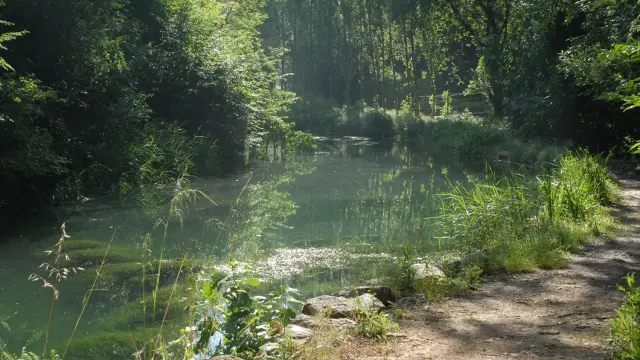 Un estanque en el barranco de Gabasa.