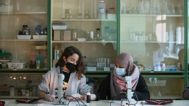 Dos alumnas del IES Ramón y Cajal en el laboratorio de Biología y Geología del centro, este jueves en Zaragoza.
