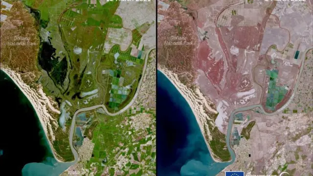 Imágenes de satélite del entorno de Doñana en marzo de 2021 y marzo de 2022.