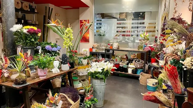 Geranios, petunias o margaritas son algunas de las plantas más demandadas en la floristería La Moderna de Zaragoza.