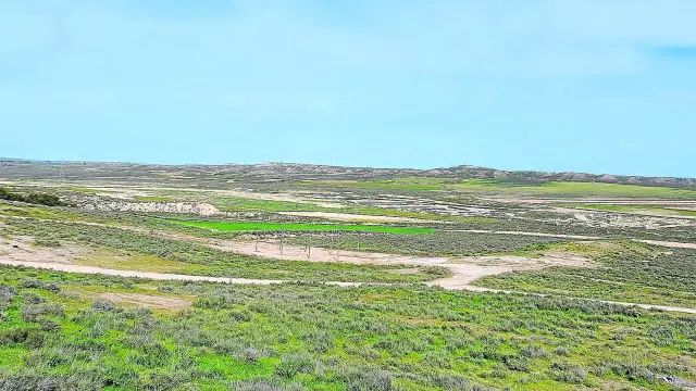 Vista parcial de las 607 hectáreas de secano que la comunidad de regantes de Pina en constitución quiere transformar en regadío.
