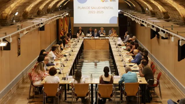 Presentación del Plan de Salud Mental en la sala Hermanos Bayeu del Edificio Pignatelli