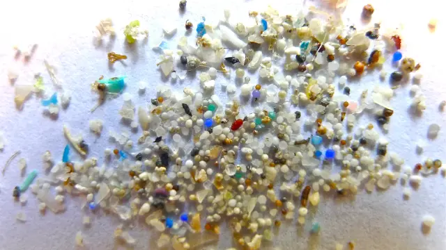 La descomposición de los plásticos produce pequeños fragmentos que contaminan el medio ambiente