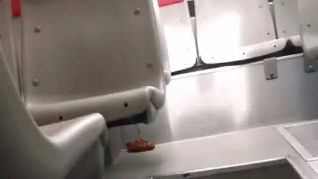 Un pasajero defeca en un bus de Zaragoza