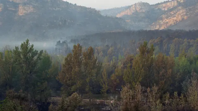 Incendio forestal en la comarca del Maestrazgo (Teruel) en el verano de 1994
