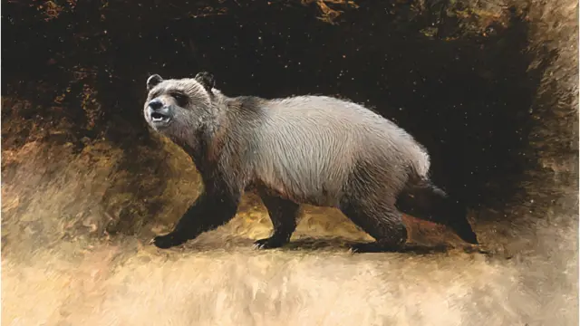 Reconstrucción de A. nikolovi, el último panda europeo.