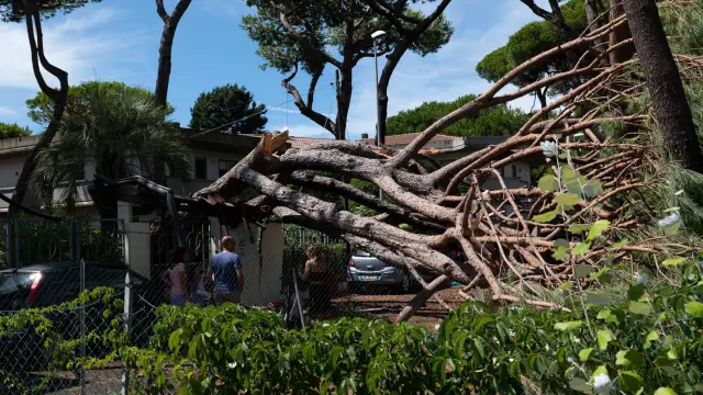 Un árbol caído en el norte de Italia por el temporal que ya deja dos muertos y varios heridos.