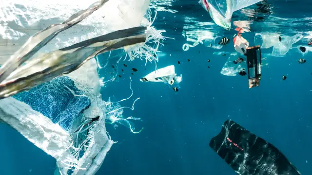 El plástico ya representa el 85% de la basura marina