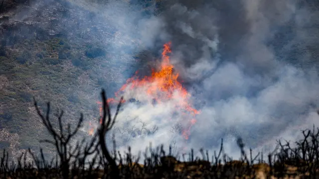Incendio forestal de Bejís (Castellón)